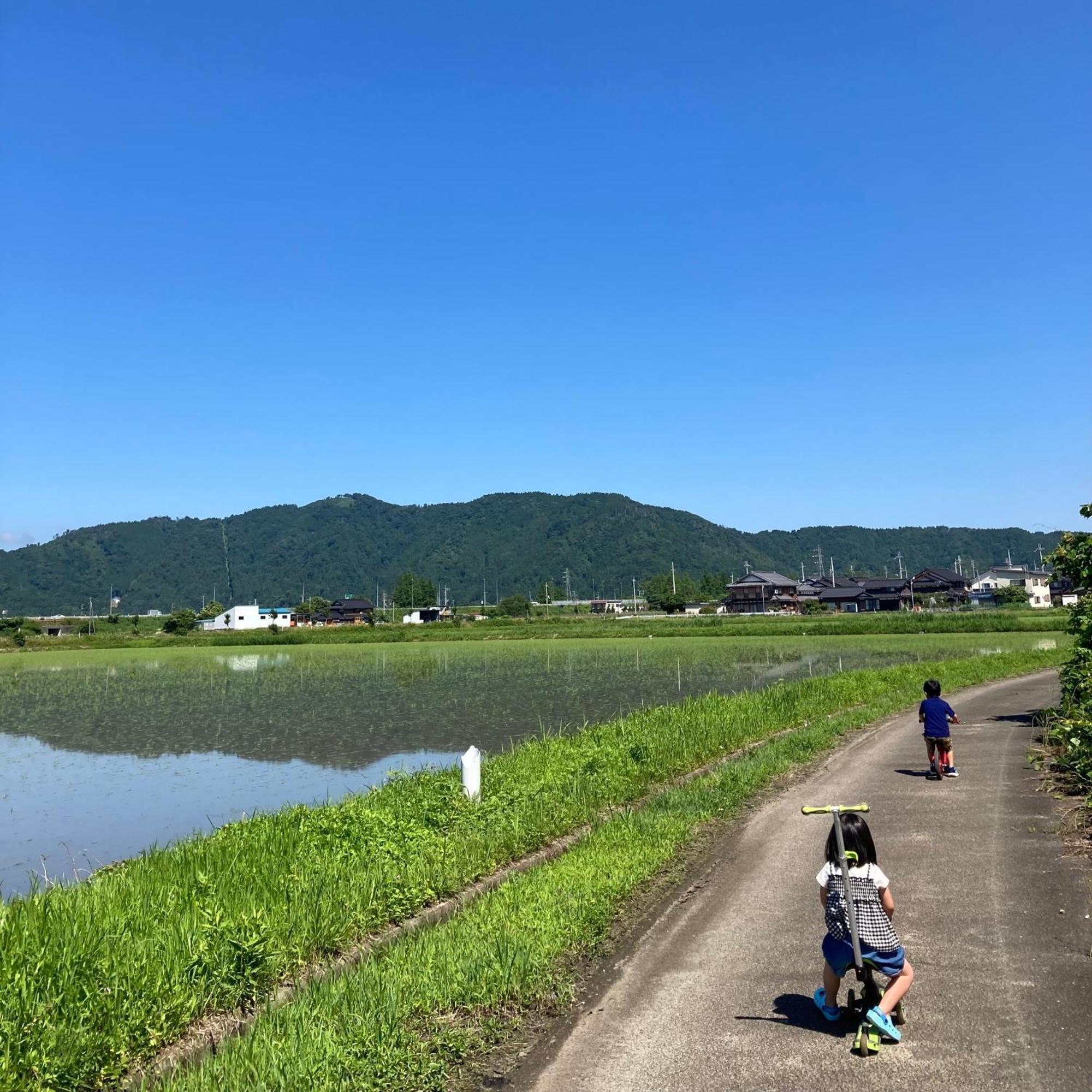 湖北 寺の宿-去-来-現ko-Rai-Gen Нагахама Екстериор снимка
